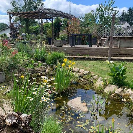 Le Chat Qui Peche B&B Châteauneuf-la-Forêt Dış mekan fotoğraf