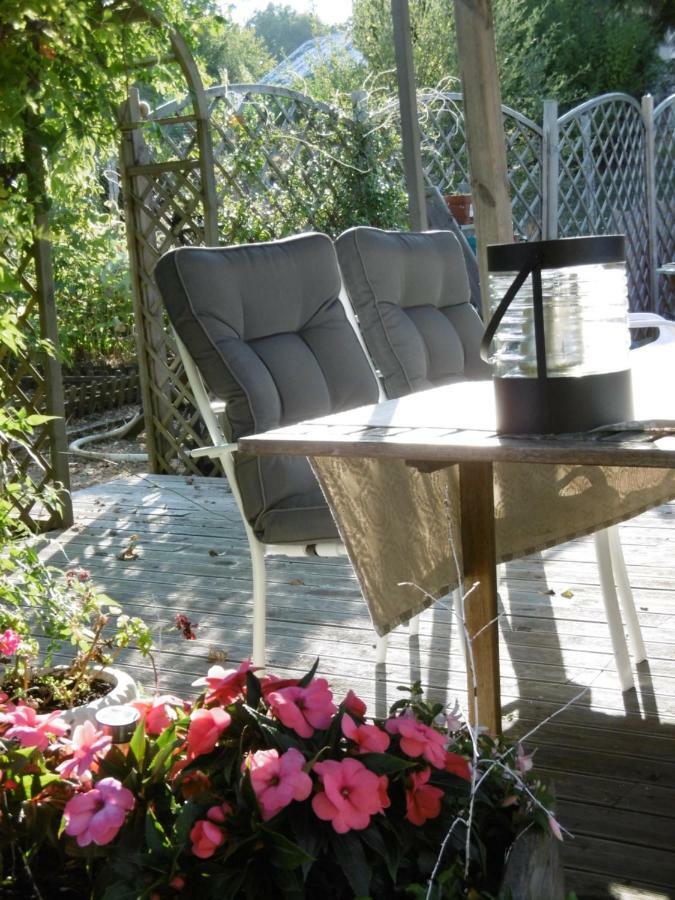 Le Chat Qui Peche B&B Châteauneuf-la-Forêt Dış mekan fotoğraf