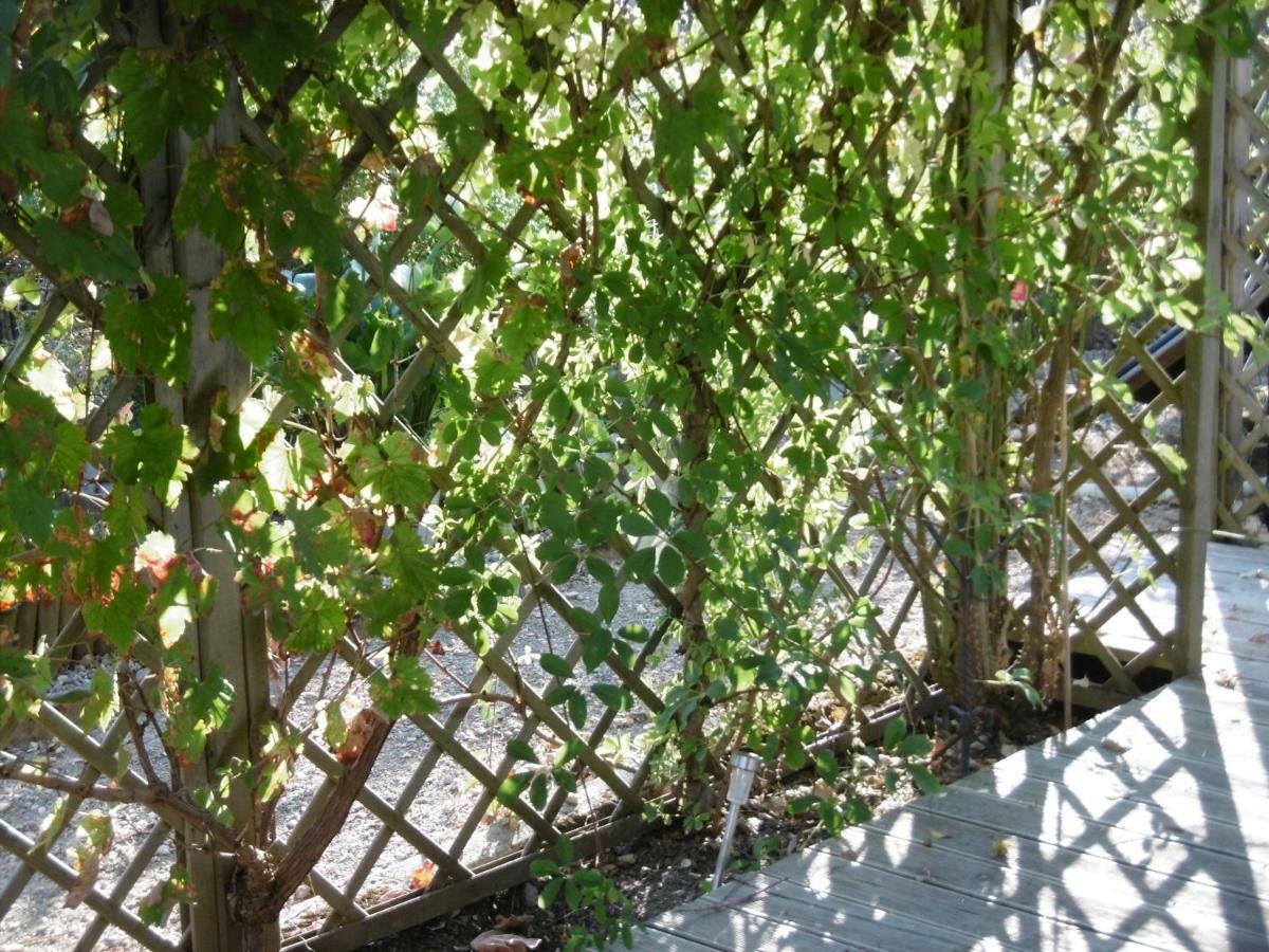 Le Chat Qui Peche B&B Châteauneuf-la-Forêt Dış mekan fotoğraf