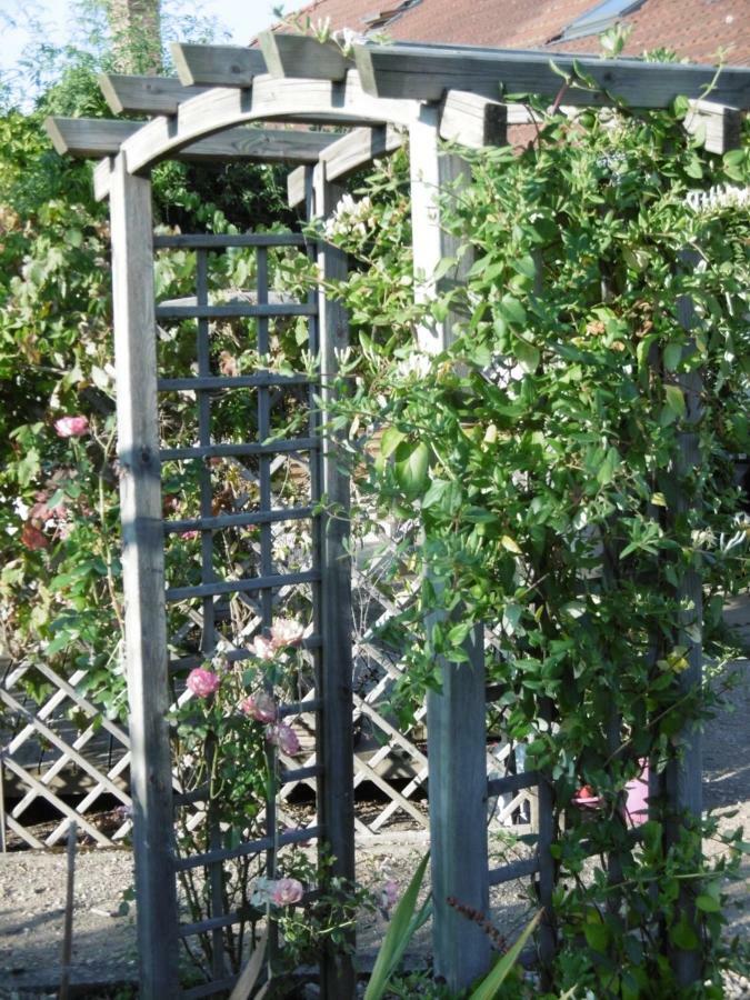 Le Chat Qui Peche B&B Châteauneuf-la-Forêt Dış mekan fotoğraf